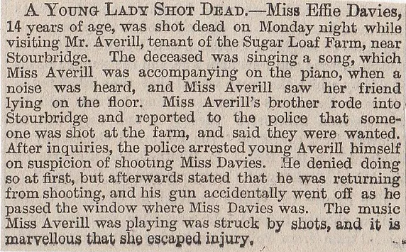 Stourbridge, young lady shot